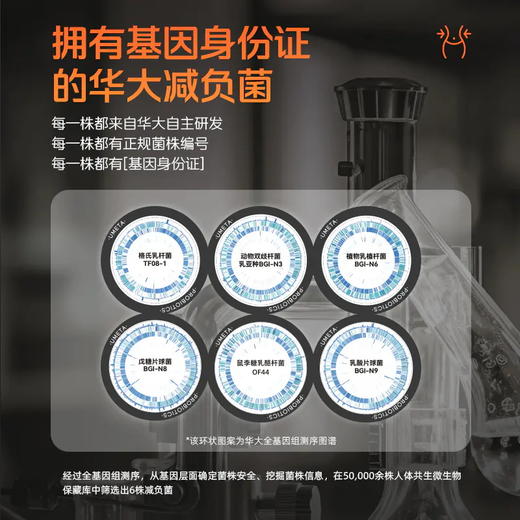 【镜脂·轻|益生菌】增加瘦子菌比例，助力养成易瘦体质!(2片/袋*15袋/盒) 商品图3