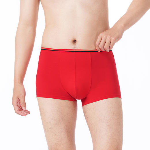 都市丽人都市锋尚内裤简约基础平角裤40S棉拉架男士内裤FKTCD5 商品图1