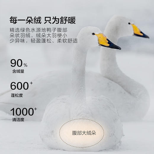 水星家纺90%白鸭绒冬被-雪弥尔抗菌羽绒冬被 商品图2