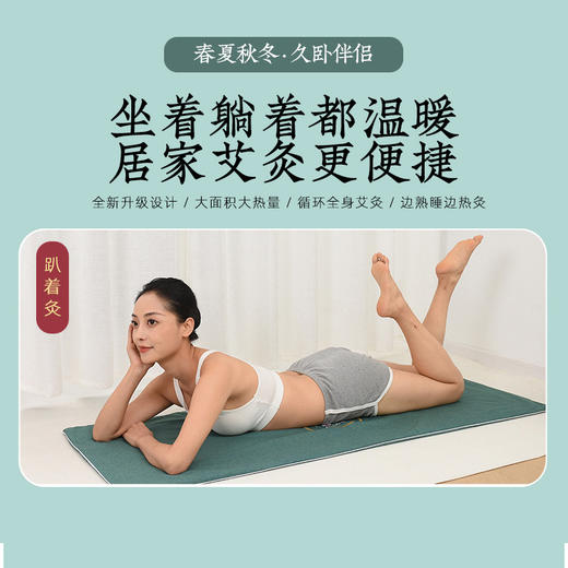【春夏秋冬！久卧伴侣】艾灸毯艾灸热敷垫电加热艾绒坐垫刺绣家用艾草褥子床垫沙发垫，坐着躺着都温暖，居家艾灸更便捷。ry 商品图1