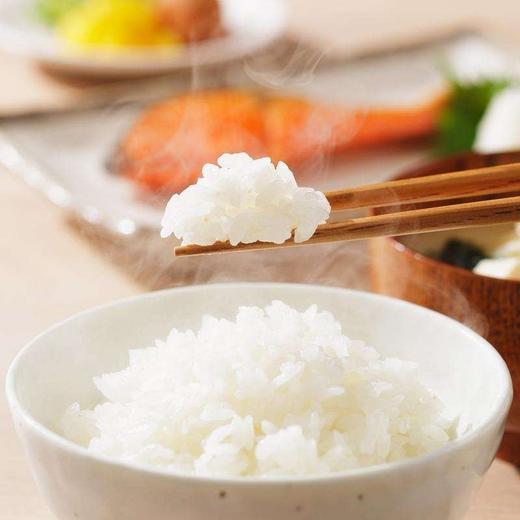 金龙鱼 大米 特选东北大米 5KG 细腻软香 【10斤装】 商品图1