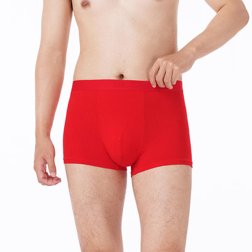 都市丽人都市锋尚内裤简约基础平角裤人棉提花男士内裤FKTCD8 商品图2