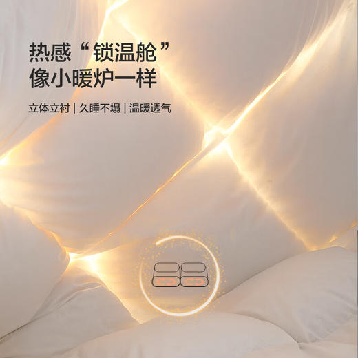 水星家纺90%白鸭绒冬被-雪弥尔抗菌羽绒冬被 商品图7
