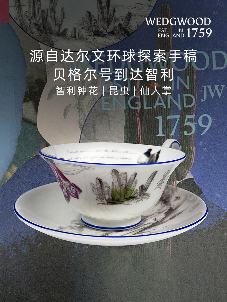 【WEDGWOOD】威基伍德达尔文·环游探索一人悦享骨瓷杯碟餐盘