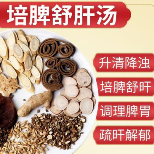 【升清降浊】培脾舒肝汤 倪师推荐 白术陈皮生姜桂枝白芍培脾舒甘汤 商品图0