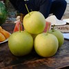 大生哥的饶阳皇冠梨 自然农法种植 梨香纯净 细腻清甜（衡水顺丰发货） 商品缩略图1