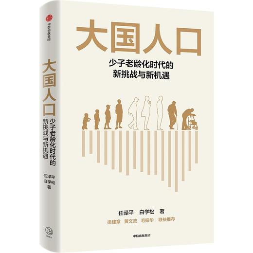 中信出版 | 大国人口 少子老龄化时代的新挑战与新机遇 商品图1