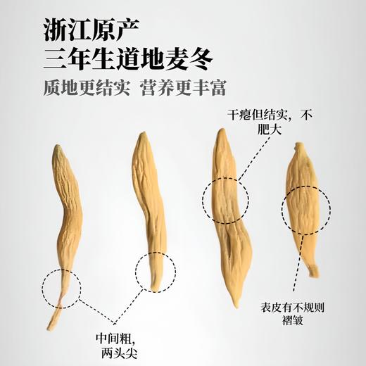 【浙麦冬】道地产区慈溪三年生大粒无熏硫清香 商品图3