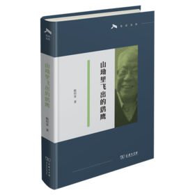 山坳里飞出的鹞鹰(光启文库)