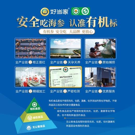 好当家 天海湾干海参250g （60-80头/500g） 亲友礼赠 海味山珍 营养滋补 48小时发货 商品图1