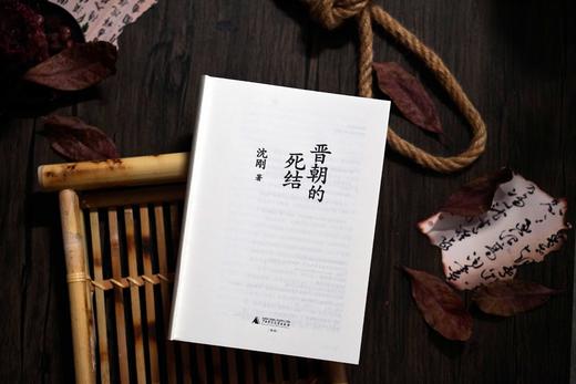 晋朝的死结  沈刚 /著 商品图3