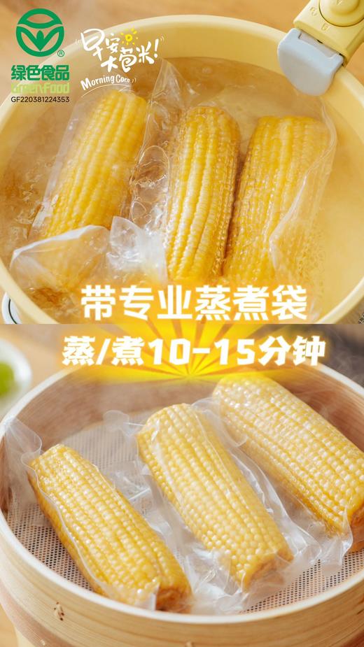 早安大苞米 真空鲜食玉米 商品图6