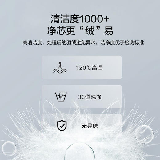 水星家纺90%白鸭绒冬被-雪弥尔抗菌羽绒冬被 商品图4