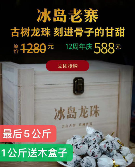 【冰岛龙珠】老寨百年古树春尖 商品图0