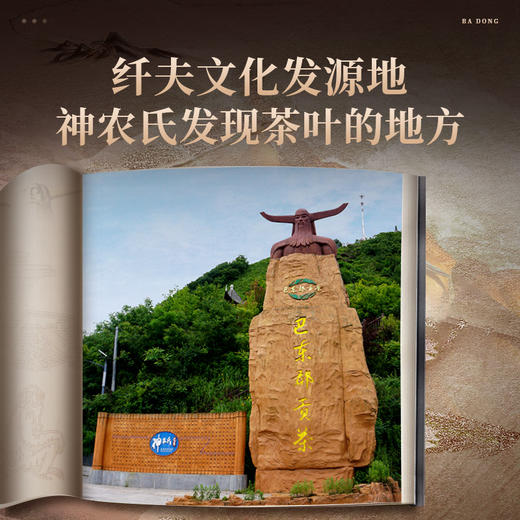 正山堂 巴东红 骏眉中国产区茶系列 湖北特级红茶茶叶罐装50g 商品图4