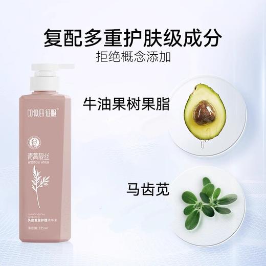 征服青蒿专利洗发/护发/沐浴  530ml/瓶【新旧包装随机发，下单送随机小样2包】 商品图1