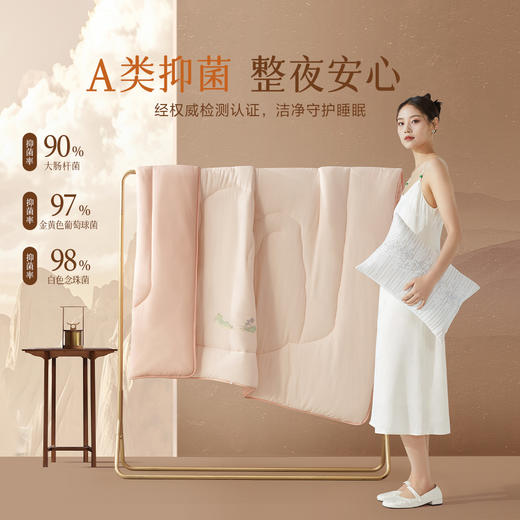 百丽丝家纺A类大豆羊绒蛋白被-江山如画·大豆羊绒蛋白四季被/冬被 商品图2