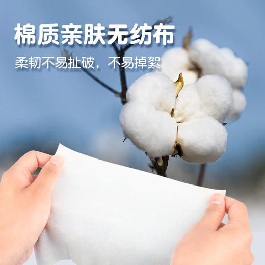 【ZY25】海氏海诺迷你酒精湿巾14*15cm*8片*8包/提 商品图2