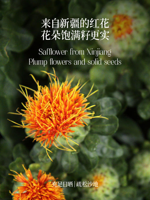 【OMEGA6系列】热炒红花籽油500ml-会员专享 商品图4