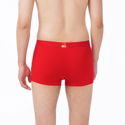 都市丽人都市锋尚内裤简约基础平角裤人棉提花男士内裤FKTCD8 商品图4