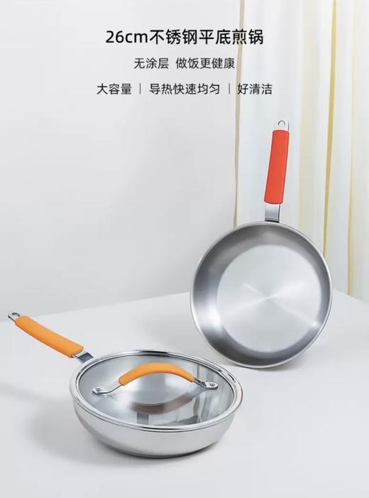 莱德斯煎锅G15003 商品图0