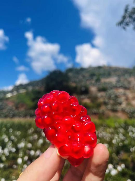 会理软籽石榴 - 家庭装/礼盒装（偏远县城/乡村不发货） 商品图3