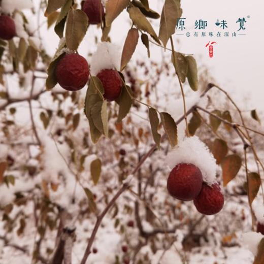 “枣晓得”有机冬月吊干枣/红枣/大枣（成都仓库-顺丰快递 ）| 一级275g/袋，二级300g/袋，来自新疆和田，生产者：张彦敏、杨月东【合作生产，公平贸易】 商品图1