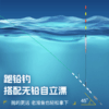 佳钓尼无铅大物线组青鱼草鱼鲤鱼巨物跑铅主线组成品绑好鱼线 商品缩略图2