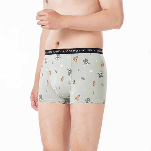 都市丽人都市锋尚内裤潮流时尚平角裤50S人棉男士内裤FKTCD9 商品图2