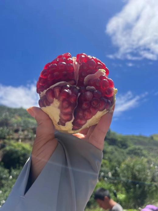 会理软籽石榴 - 家庭装/礼盒装（偏远县城/乡村不发货） 商品图1