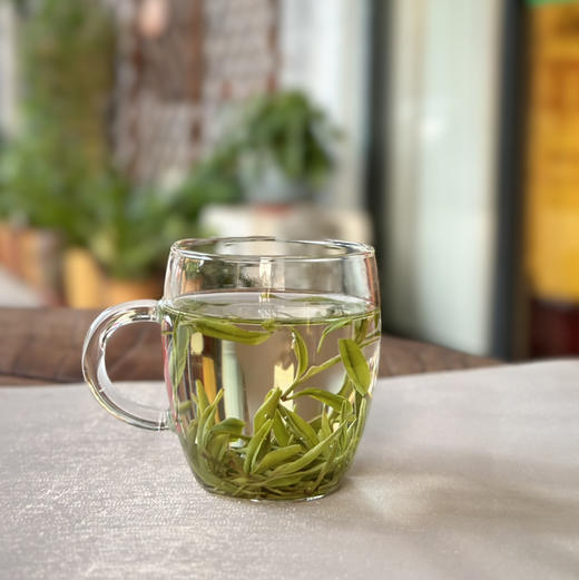 清新绿茶｜【保靖黄金茶】（明前特级），简易袋装清香到家，黄金茶享有“一两黄金一两茶”的美誉，富含高氨基酸、高茶多酚、高叶绿素和高水浸出物质，并具有香、绿、爽、甜、鲜、浓等典型品质特点，净含量250克 商品图1