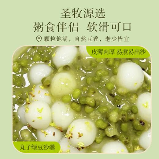 【18年有机认证】颗粒饱满 豆香浓郁 | 有机绿豆 不施加人工化肥农药 粗粮杂豆类食材 350g*2袋 商品图5