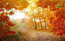  秋季艾灸分初秋、仲秋、晚秋，遵循时期艾灸效果加倍 