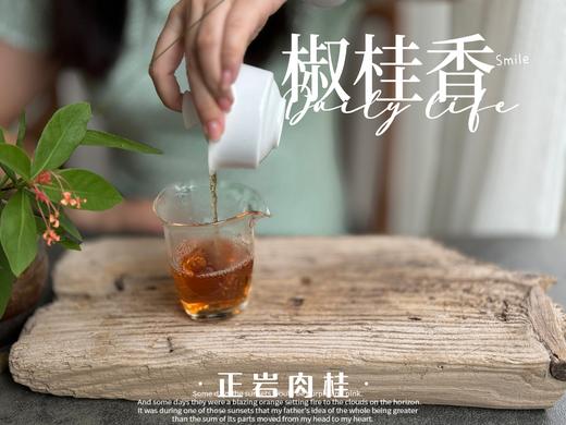 【新茶来了】2024正岩肉桂《椒桂香》，有稠滑，有清甜，有沁爽，有焦糖香，有辛锐辛辣，每一口都沁人心脾！ 商品图12