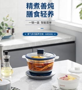 摩飞（13543）电炖锅养生锅隔水炖锅煲汤锅燕窝炖盅迷你电炖盅 MR9081 【陶瓷釉底/易清洗}