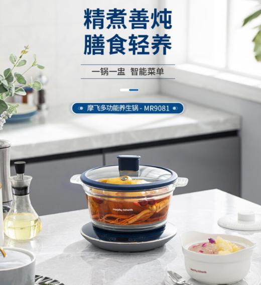 摩飞（13543）电炖锅养生锅隔水炖锅煲汤锅燕窝炖盅迷你电炖盅 MR9081 【陶瓷釉底/易清洗} 商品图0