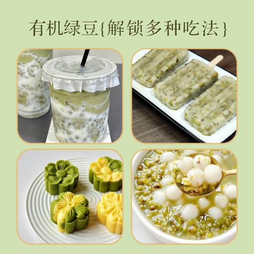 【18年有机认证】颗粒饱满 豆香浓郁 | 有机绿豆 不施加人工化肥农药 粗粮杂豆类食材 350g*2袋 商品图1