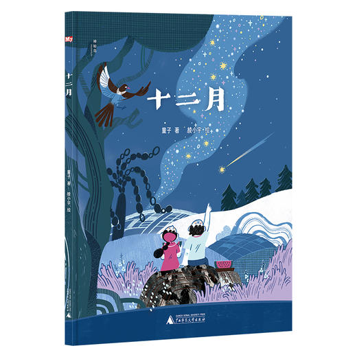 【神秘岛】  十二月   童子 / 著 ，棱小宇/  绘  适合6-10岁儿童阅读 商品图0