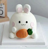 可爱萝卜小兔兔 商品缩略图1