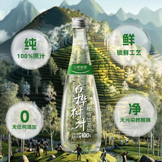 白桦依然白桦树汁植物饮品 330ml*6瓶/箱 商品图1