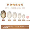 海鲜世家去肚特大鲍鱼12粒装360g盒装免处理火锅烧烤食材海鲜礼盒 商品缩略图0