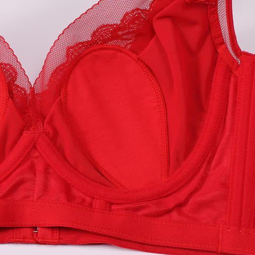 都市丽人调整型内衣舒软挺塑塑身文胸蕾丝超薄塑身内衣3/4杯四排扣LJT3H3 商品图12