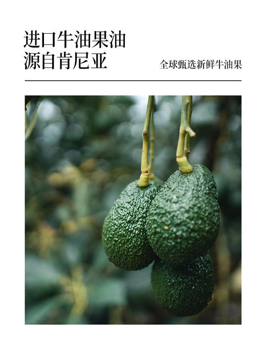 【OMEGA9系列】热炒牛油果油1L-会员专享 商品图2