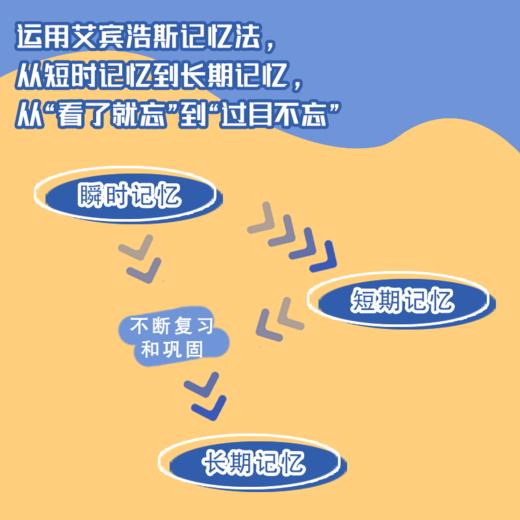 艾宾浩斯记忆法：打造过目不忘的学习脑 商品图3