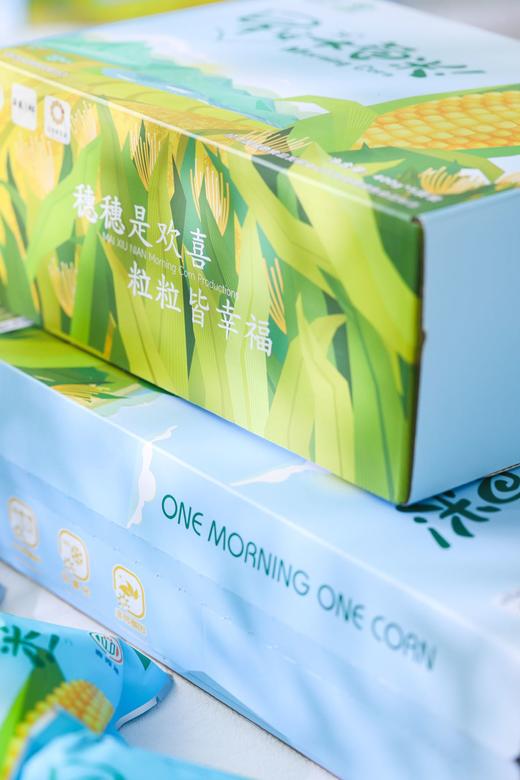 早安大苞米 真空鲜食玉米 商品图1