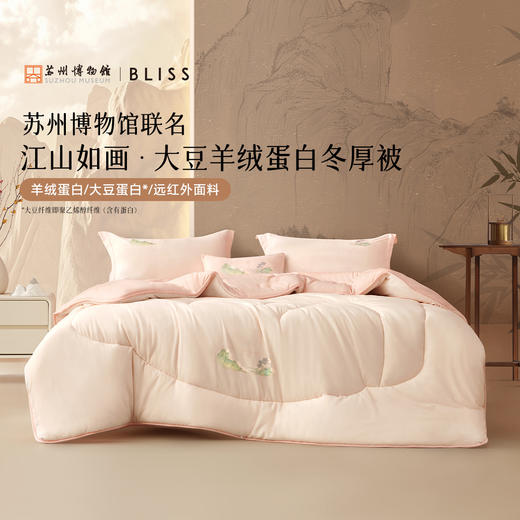百丽丝家纺A类大豆羊绒蛋白被-江山如画·大豆羊绒蛋白四季被/冬被 商品图1