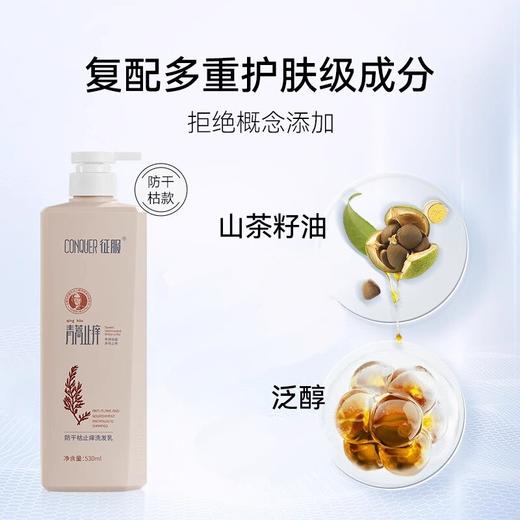 征服青蒿专利洗发/护发/沐浴  530ml/瓶【新旧包装随机发，下单送随机小样2包】 商品图2