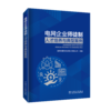 电网企业师徒制人才培养与典型案例 商品缩略图0