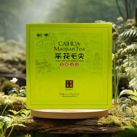 采花2025新茶 采花毛尖明前采摘 五峰茶明前嫩芽茶万里茶道 君子160g（40g*4罐） 商品图6