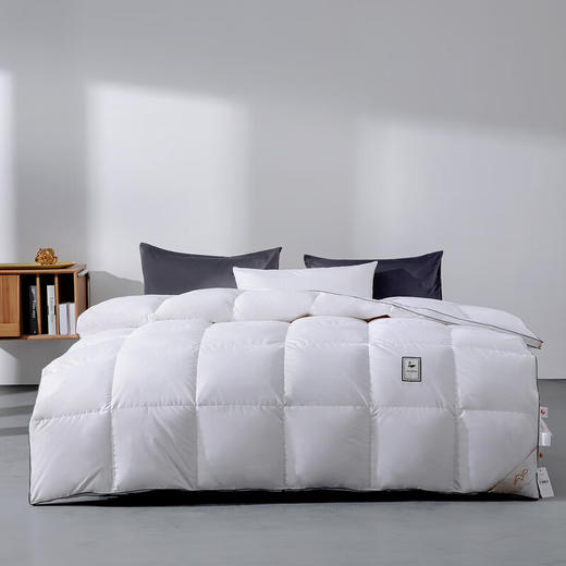 水星家纺90%白鸭绒冬被-雪弥尔抗菌羽绒冬被 商品图8